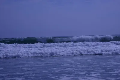 DSC_2219 (Large).JPG